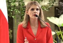 “Sería ya el colmo que la Asamblea renuncie a legislar”, dice Fernández sobre posible referéndum