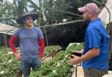 Capital semilla no reembolsable dado por el estado genera desarrollo rural según estudio
