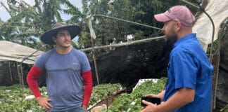 Capital semilla no reembolsable dado por el estado genera desarrollo rural según estudio