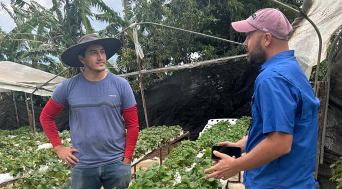 Capital semilla no reembolsable dado por el estado genera desarrollo rural según estudio