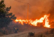 Costa Rica expresa solidaridad con España tras devastador incendio forestal