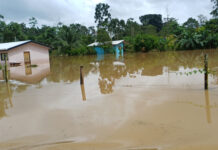 Albergues cierran y autoridades inician recuento de daños tras inundaciones
