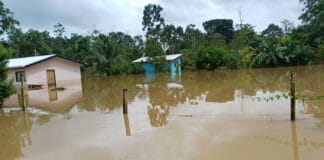 Albergues cierran y autoridades inician recuento de daños tras inundaciones