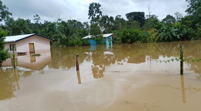 Albergues cierran y autoridades inician recuento de daños tras inundaciones