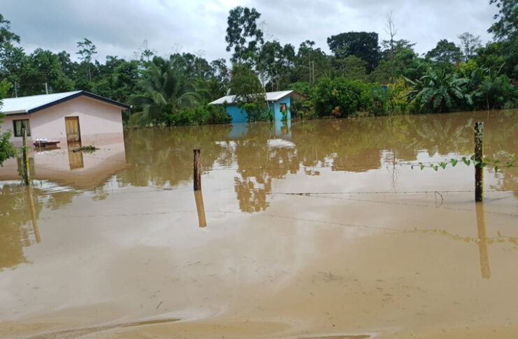 Albergues cierran y autoridades inician recuento de daños tras inundaciones