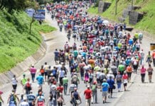 Municipalidades preparan operativo para Romería