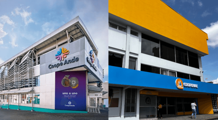 Coopenae y Coopeande evalúan alianza estratégica para una eventual integración